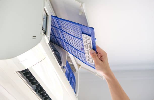 Best Affordable HVAC Duct Cleaning  in Lone Tree, IA