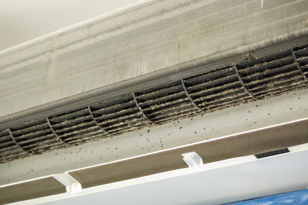 Trusted Lone Tree, IA Airduct Cleaning Experts